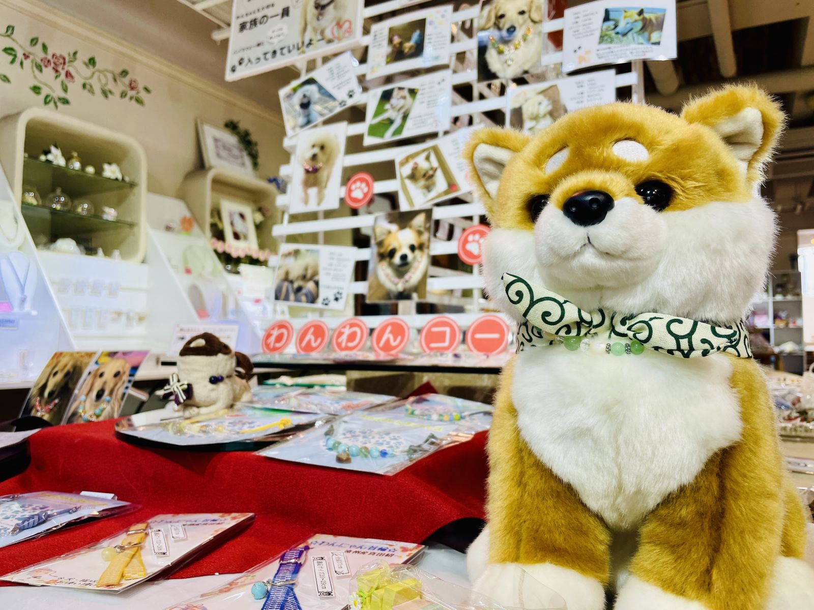 ルーベラ店頭にわんわんコーナーができました🐶 | 新着情報 | 浜松市